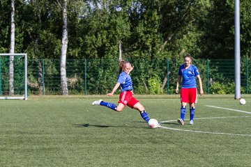 Bild 1 - Frauen HSV - cJun Eintracht Norderstedt : Ergebnis: 1:16